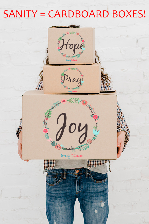 SANITY = CARDBOARD BOXES! Pinterest